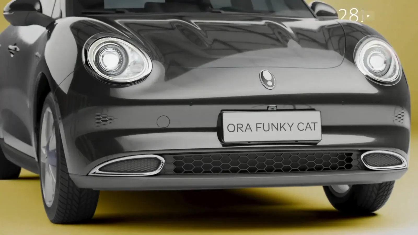Ora Good Cat – Promo Campaign - 5