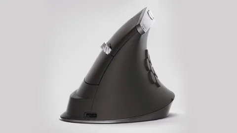 Ergonomic Mouse