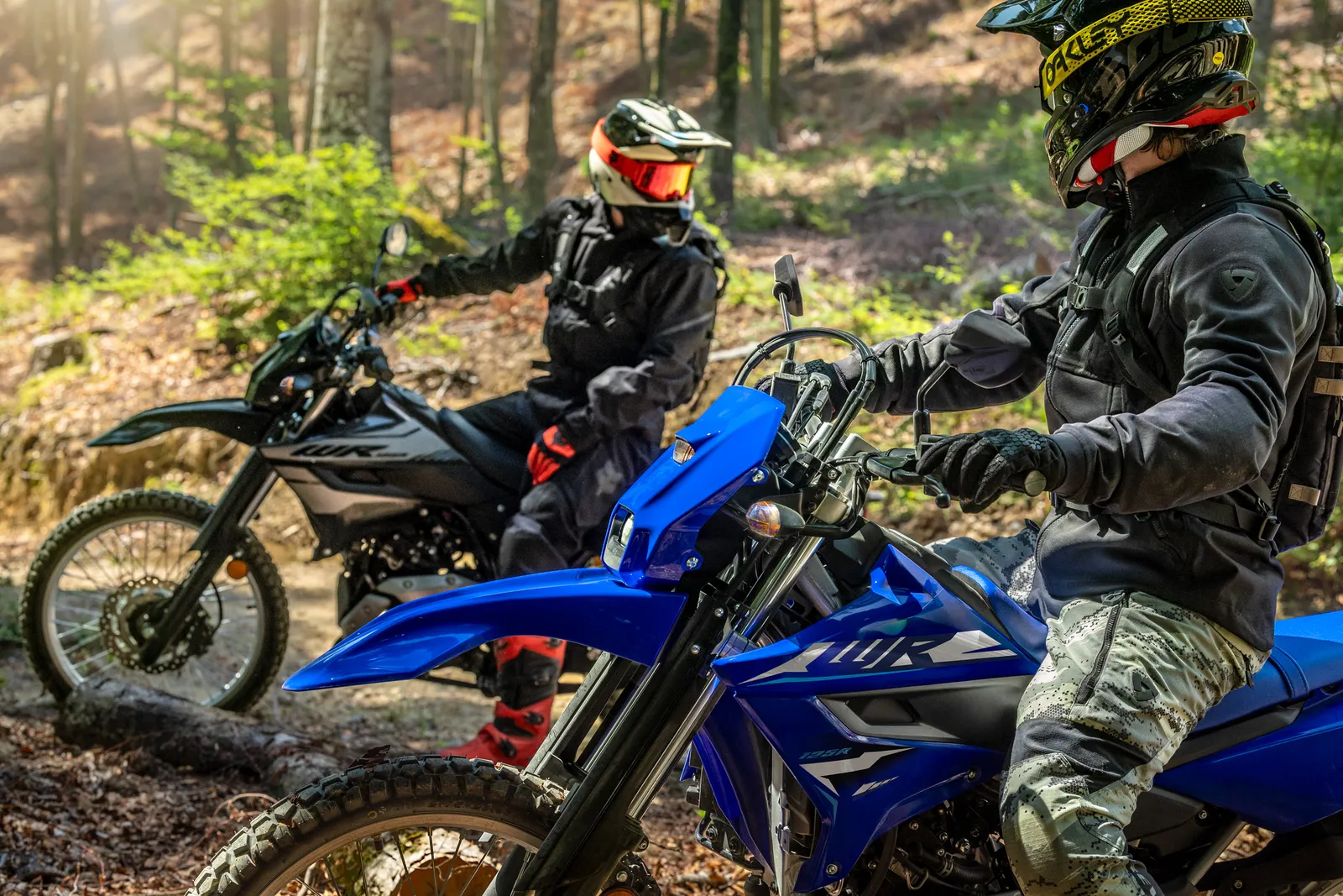 Yamaha Photo Retouching - 25